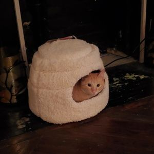 Meet your Posher, Jordanne